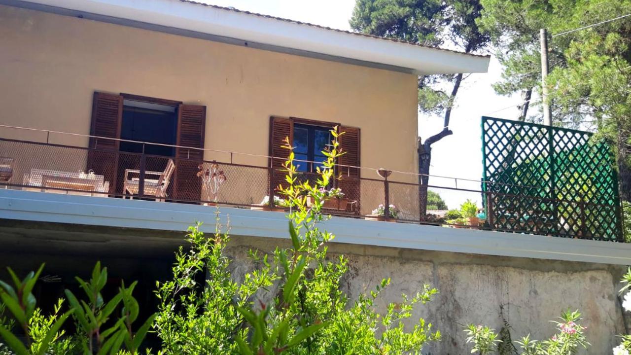 B&B Etnea Centoundici Nicolosi Zewnętrze zdjęcie