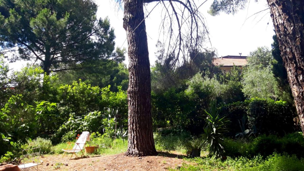 B&B Etnea Centoundici Nicolosi Zewnętrze zdjęcie